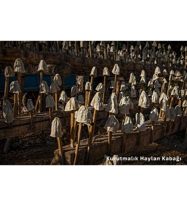 Antep Haylan Kabağı Kurusu / Gaziantep Haylan Kabağı Kurusu