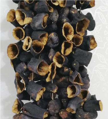 Antep Kuruluk Patlıcanı
